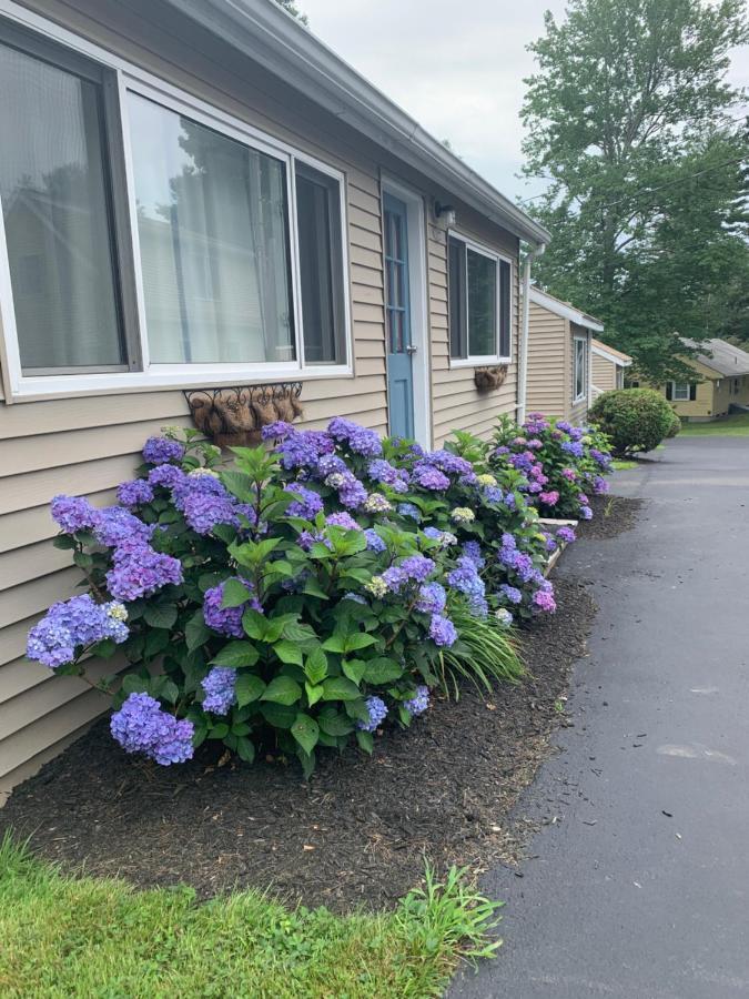 Northeaster Motel Kittery Dış mekan fotoğraf