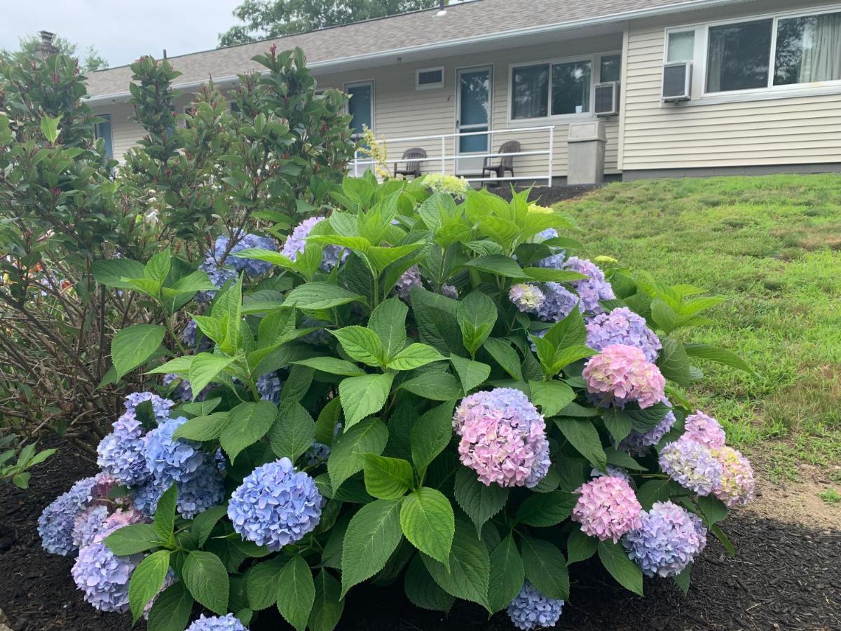 Northeaster Motel Kittery Dış mekan fotoğraf