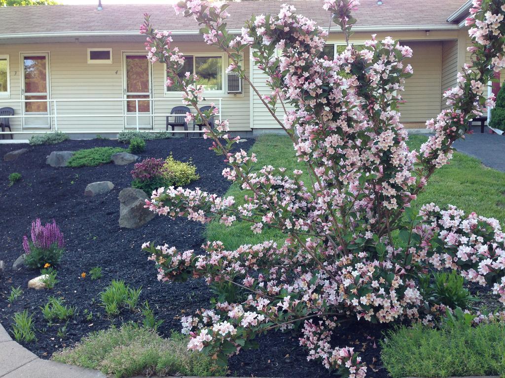Northeaster Motel Kittery Dış mekan fotoğraf